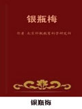 银瓶梅