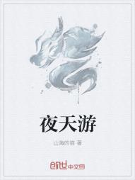 夜天游