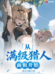 从满级猎人面板开始