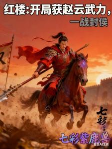 红楼:开局获赵云武力,一战封侯